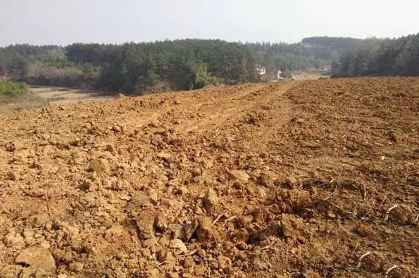 山东高院发布2024实质化解行政争议典型案例，在明律师解析亮点！